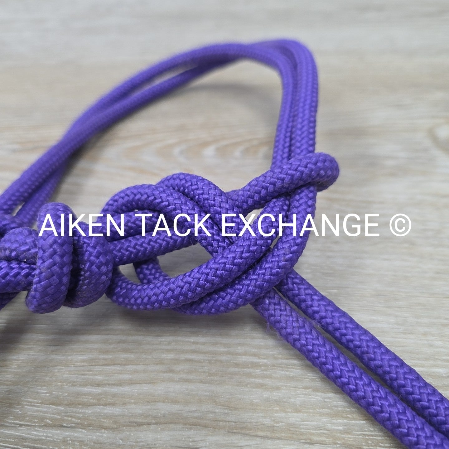 Rope Halter with Lead