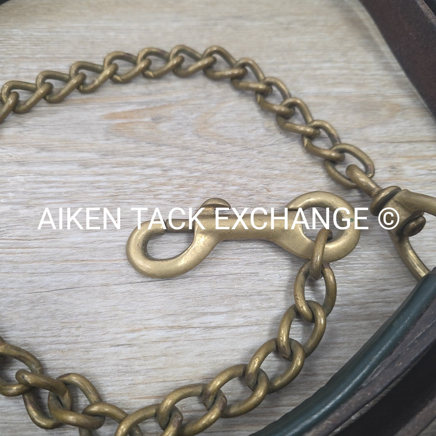 Tory Leather Padded Lead w/ Chain (has nameplate)
