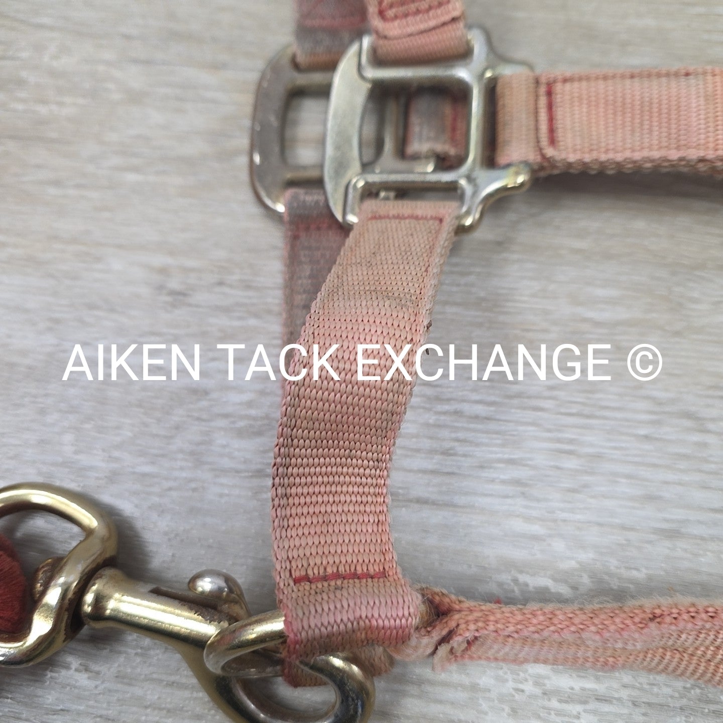 BARGAIN BUNDLE: Nylon Halter, Size Small with Lead Rope