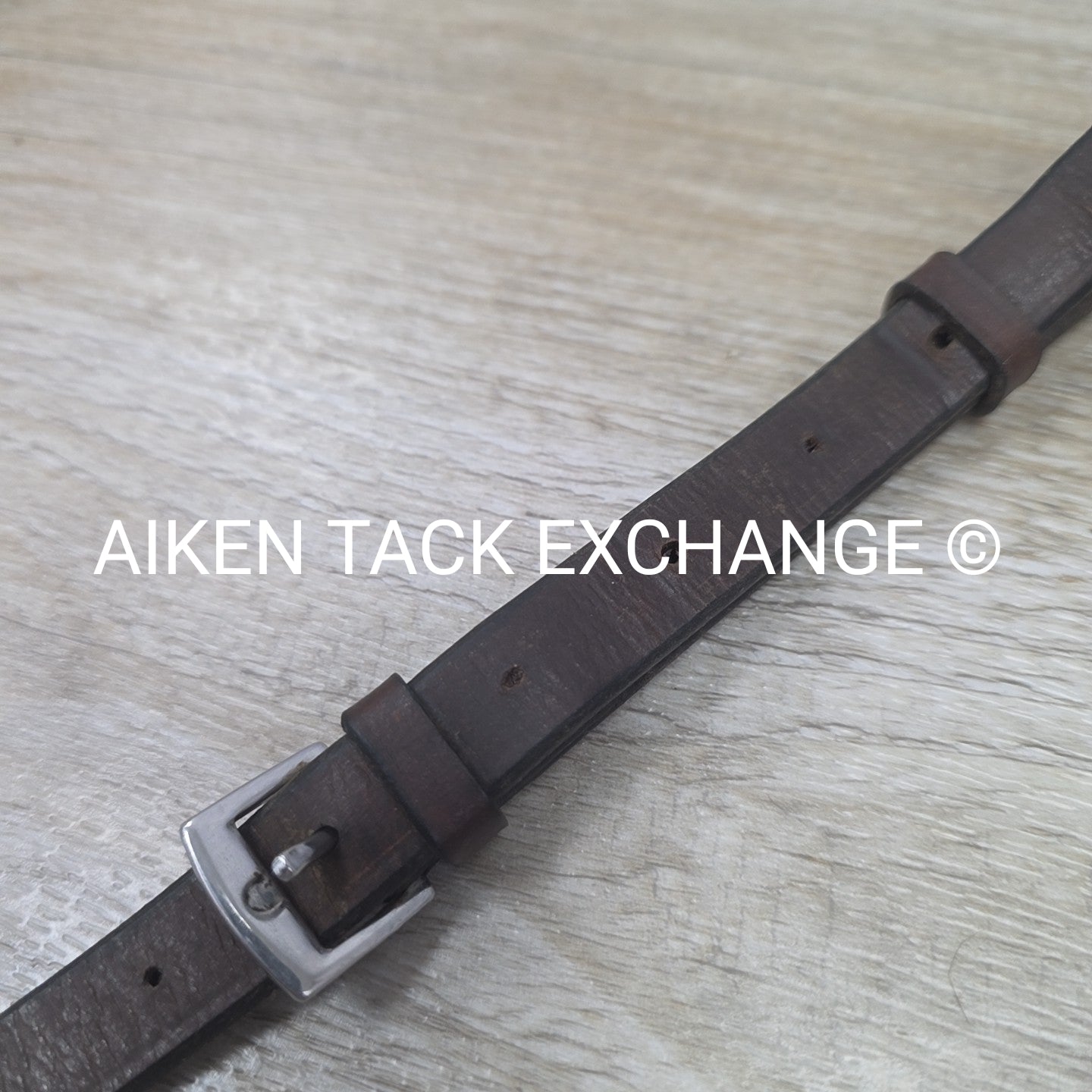Beval Plain Raised Standing Martingale, Brown, Size Full