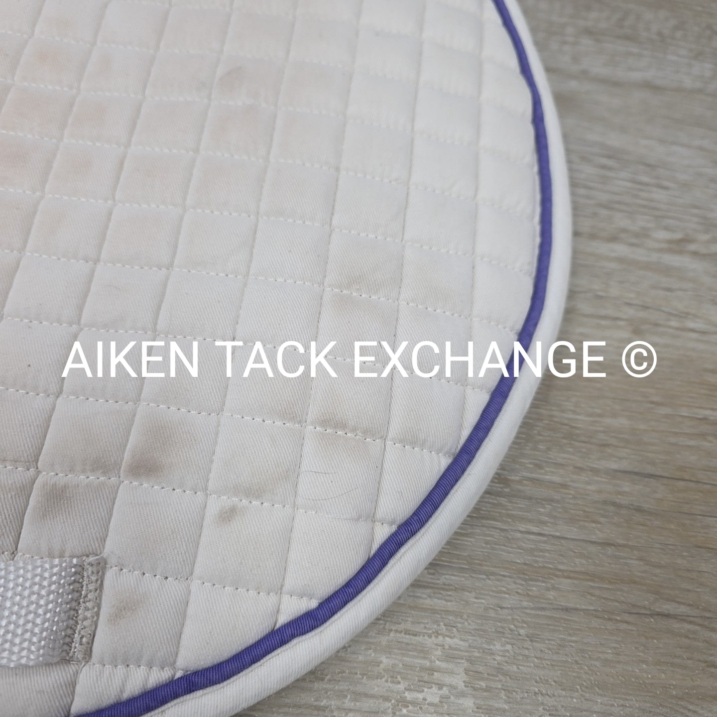 PRI All Purpose Saddle Pad w/ Purple Trim