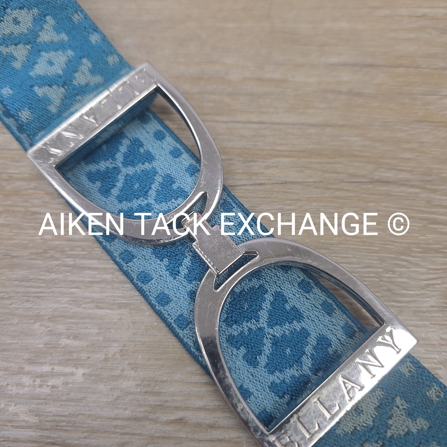 Ellany Silver Stirrup Elastic Belt