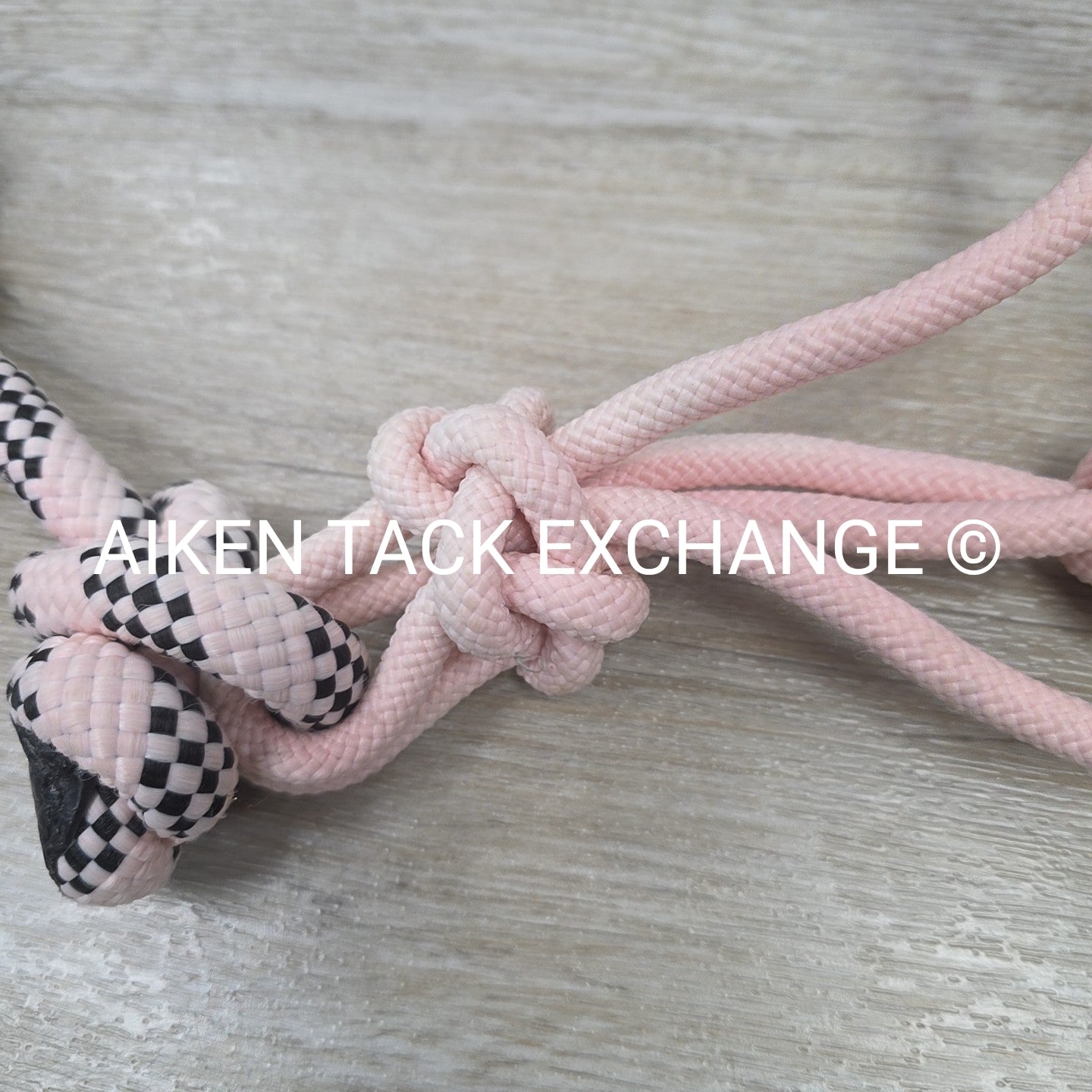 Rope Halter with Lead Rope