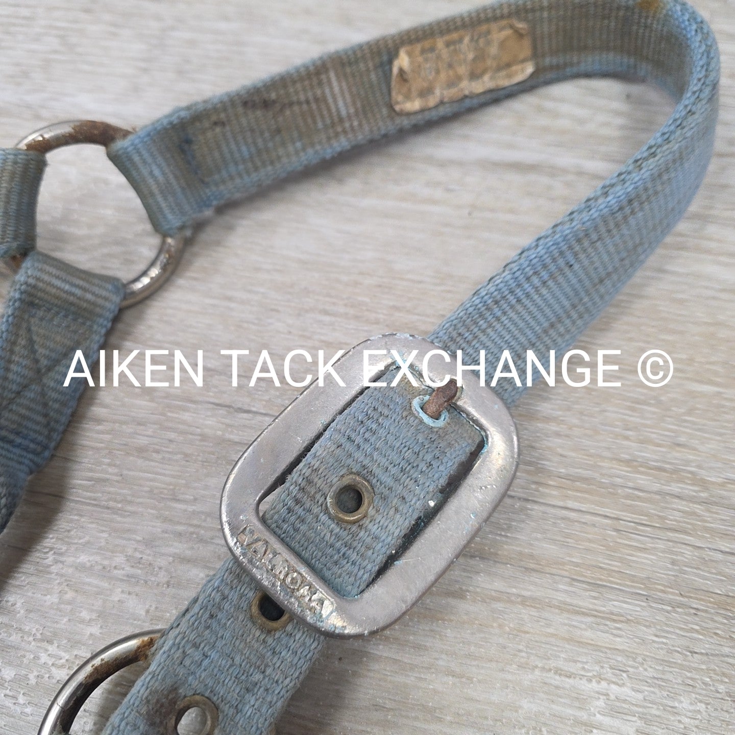 BARGAIN BUNDLE 5 Weaver Leather Nylon Halters, Size Horse