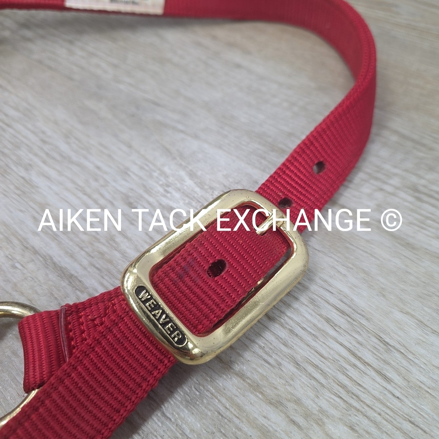 Weaver Nylon Halter, Average Horse