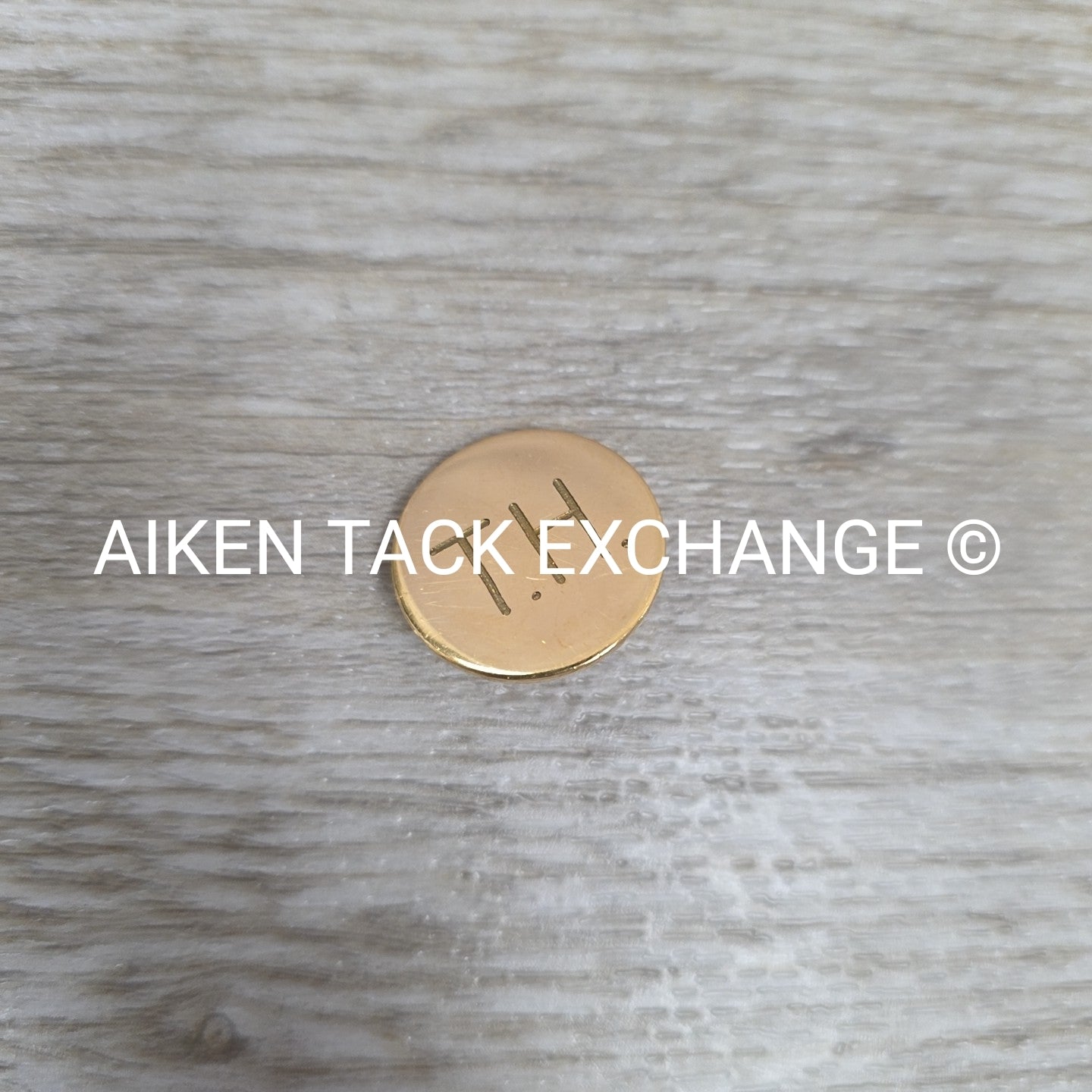 Tryon Hounds Brass Button, Large