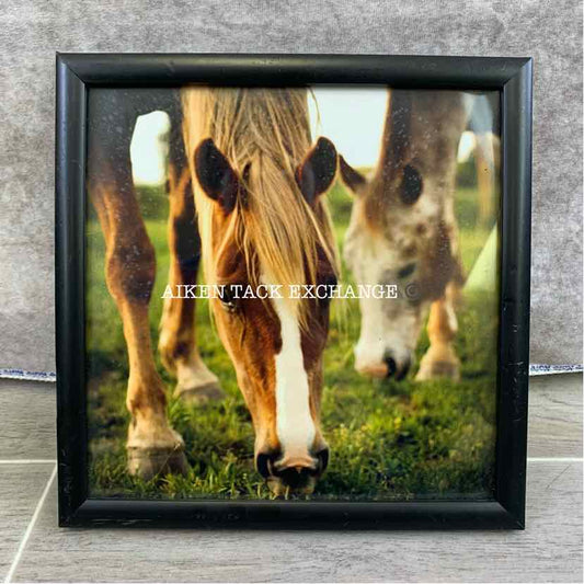 Framed Horse Photo