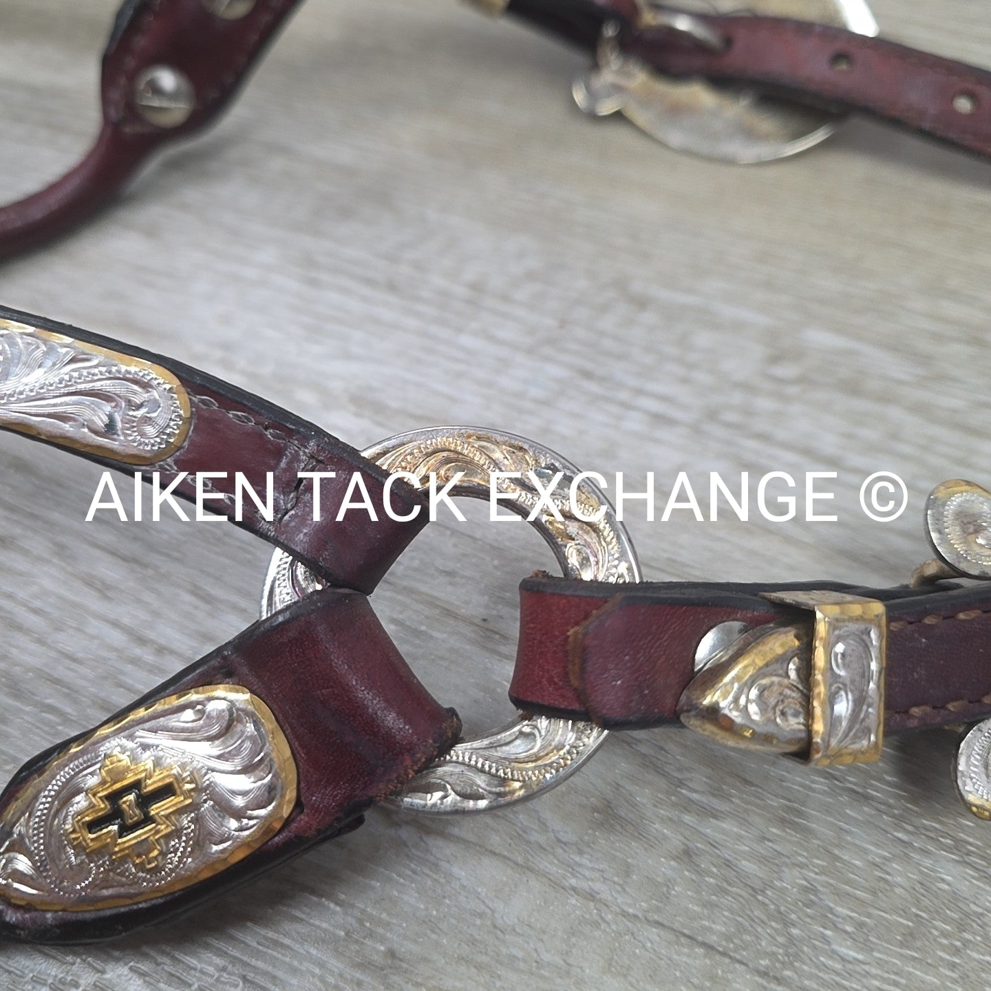 Western Show Halter, Size Foal