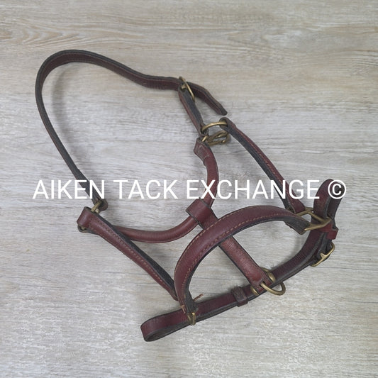 Leather Halter, Brown, Size Pony