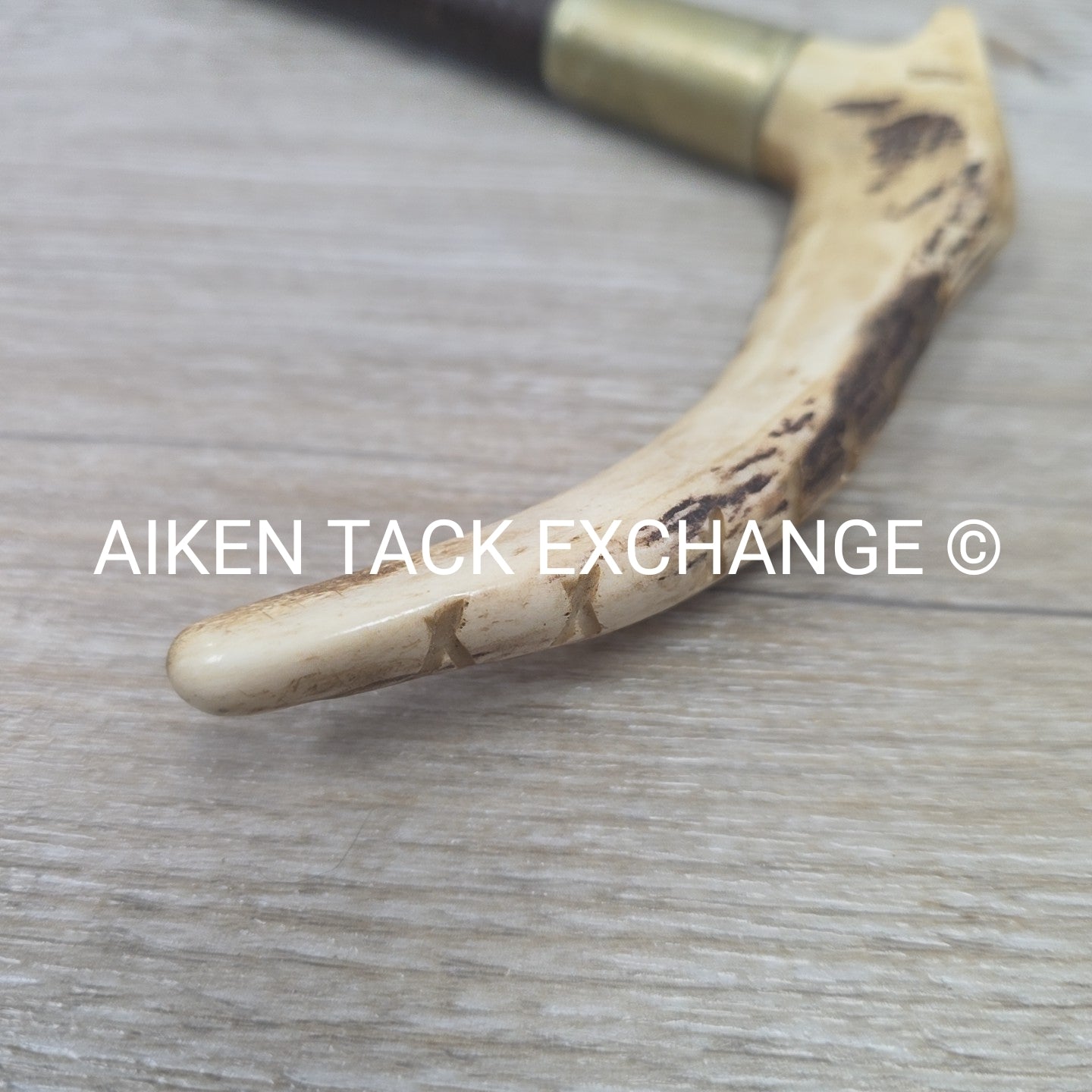 Men's Swaine Staghorn Hunt Whip with Thong / Lash