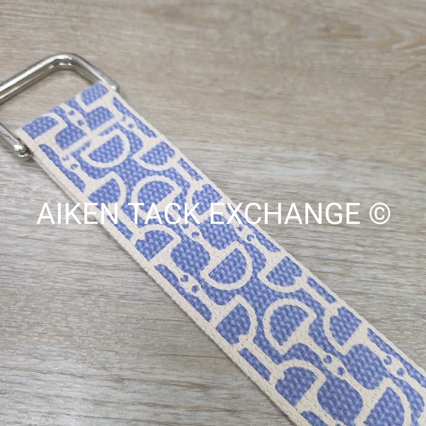 Ribbon Belt