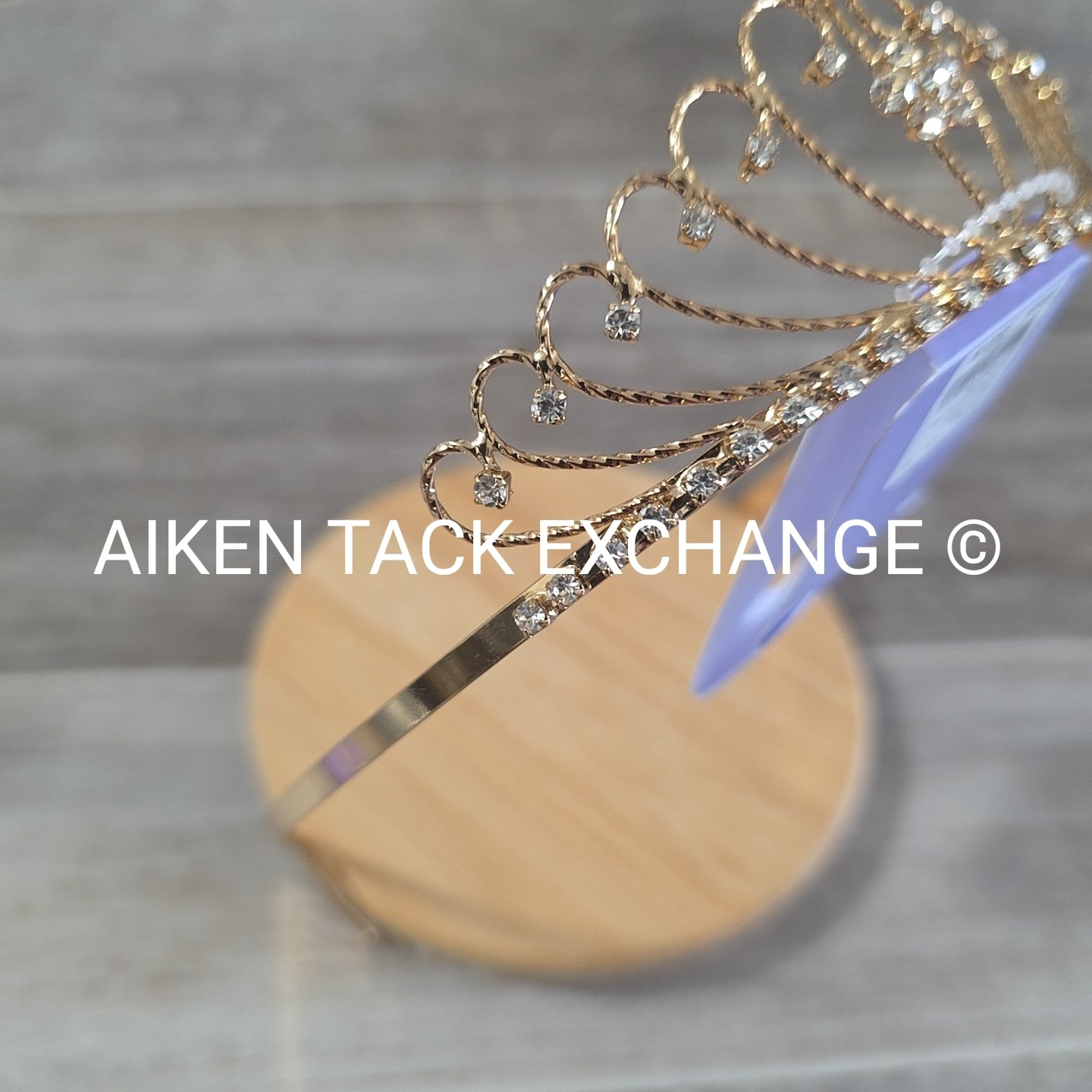 Claire's Tiara + Necklace