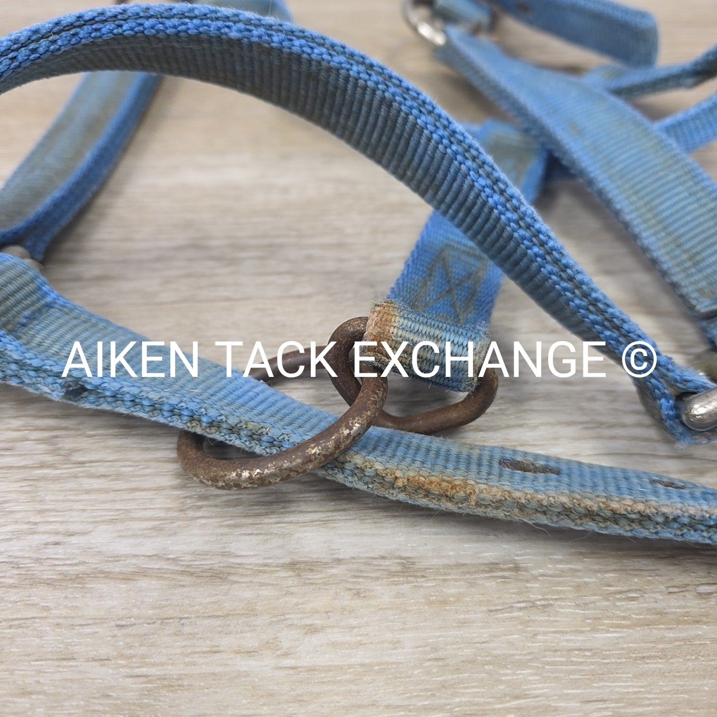 BARGAIN BUNDLE: 3 Nylon Halters, Various Sizes