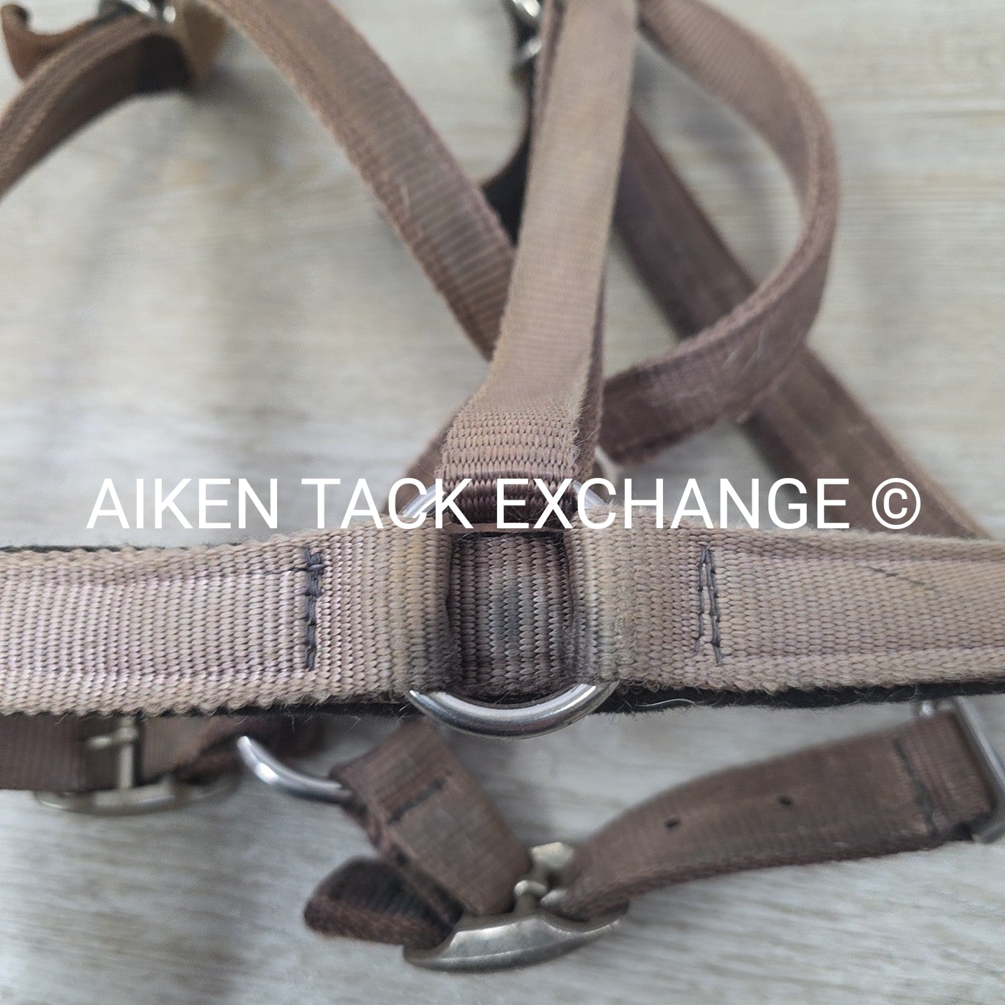 GreenGuard Premium Breakaway Halter, Cob