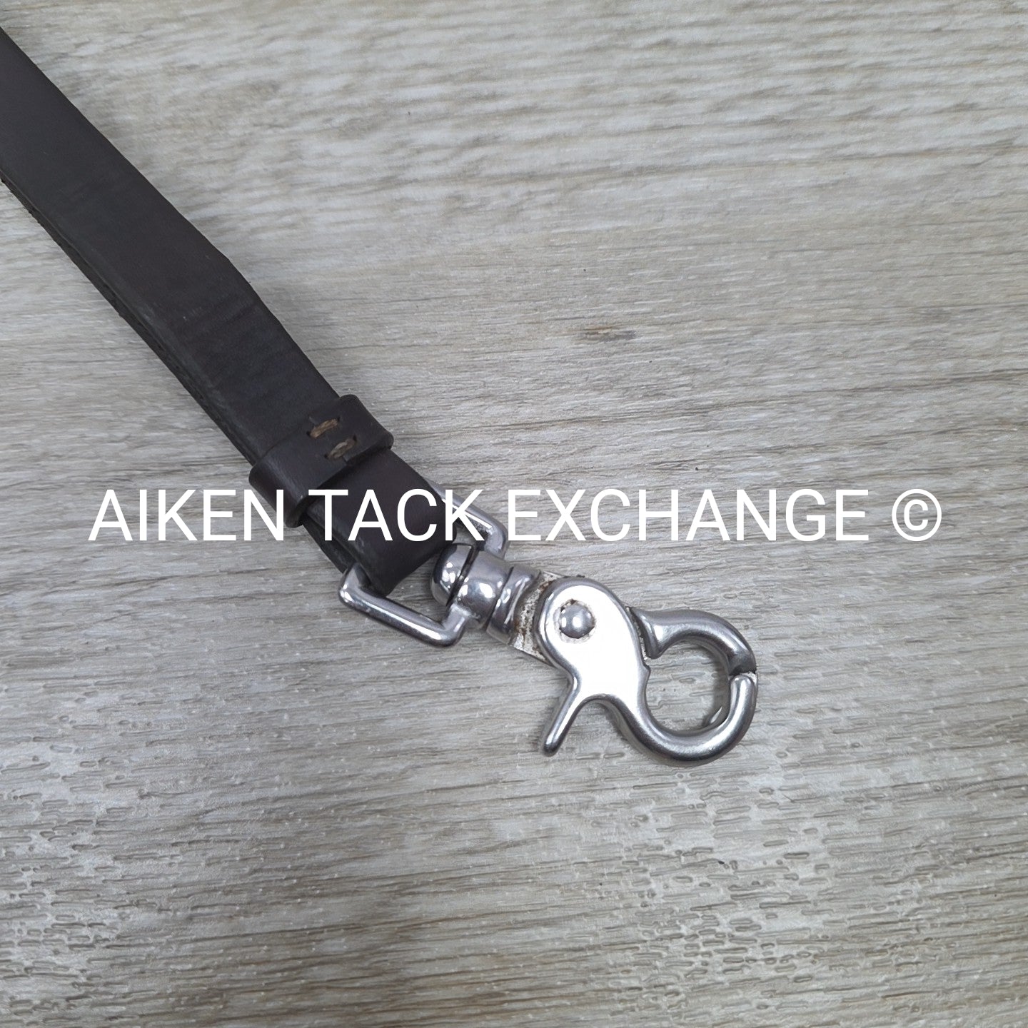 Standing Martingale Attachment, Brown, Size Full