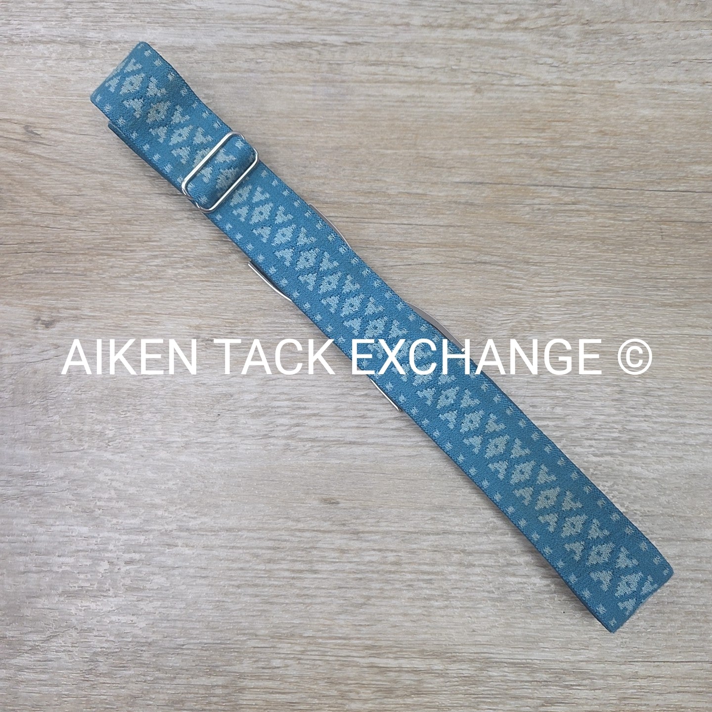 Ellany Silver Stirrup Elastic Belt
