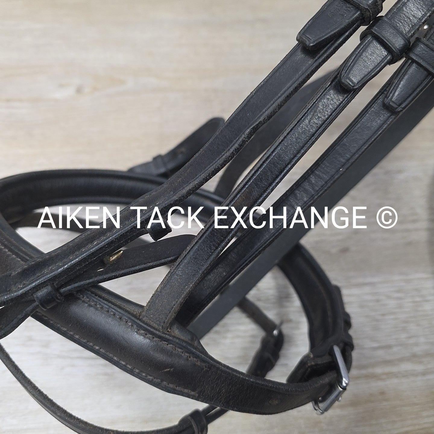 Passier & Sohn Flash Bridle with Cotton Web Reins, Black, Size Full