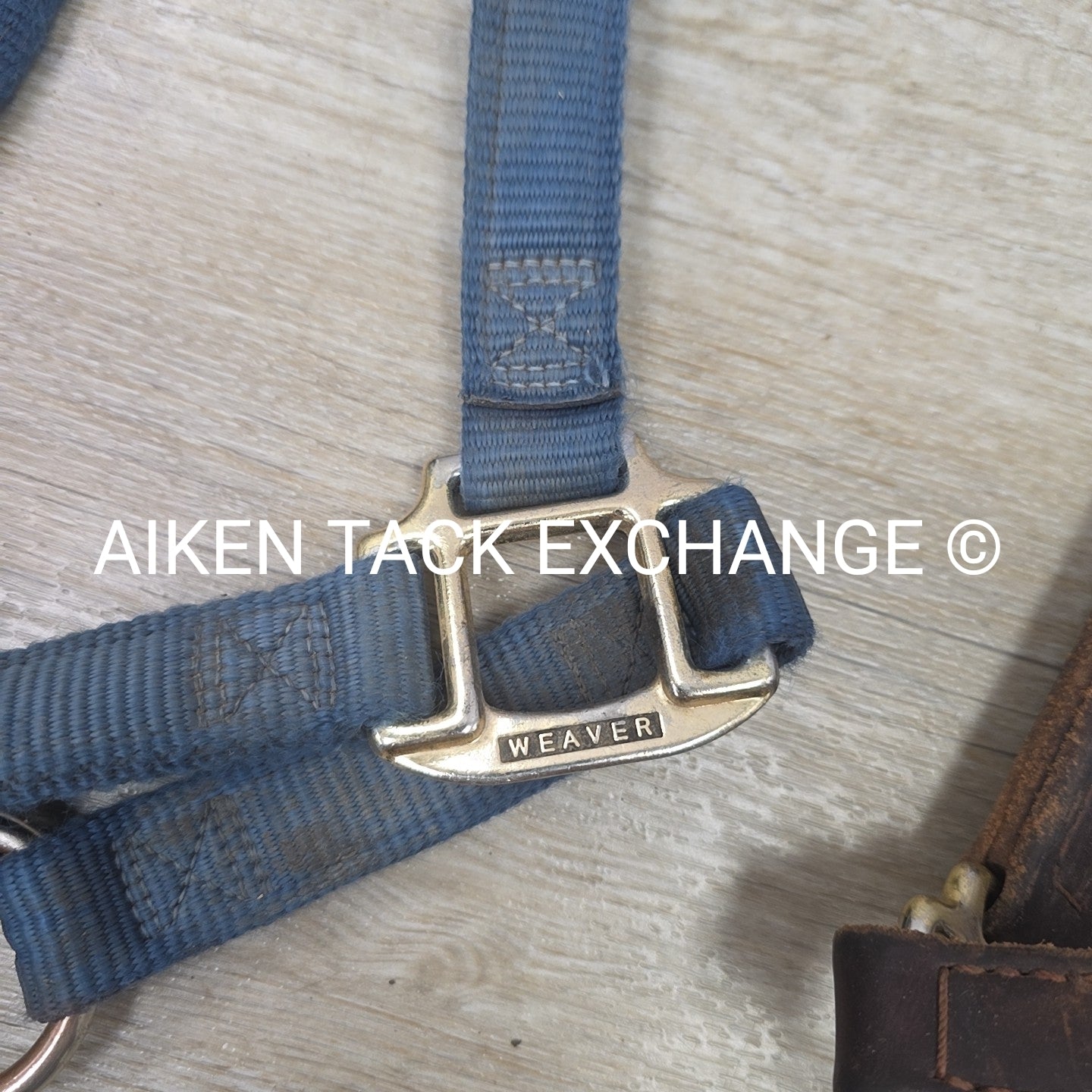 BARGAIN BUNDLE: Leather Halter & Nylon Halter, Size Full