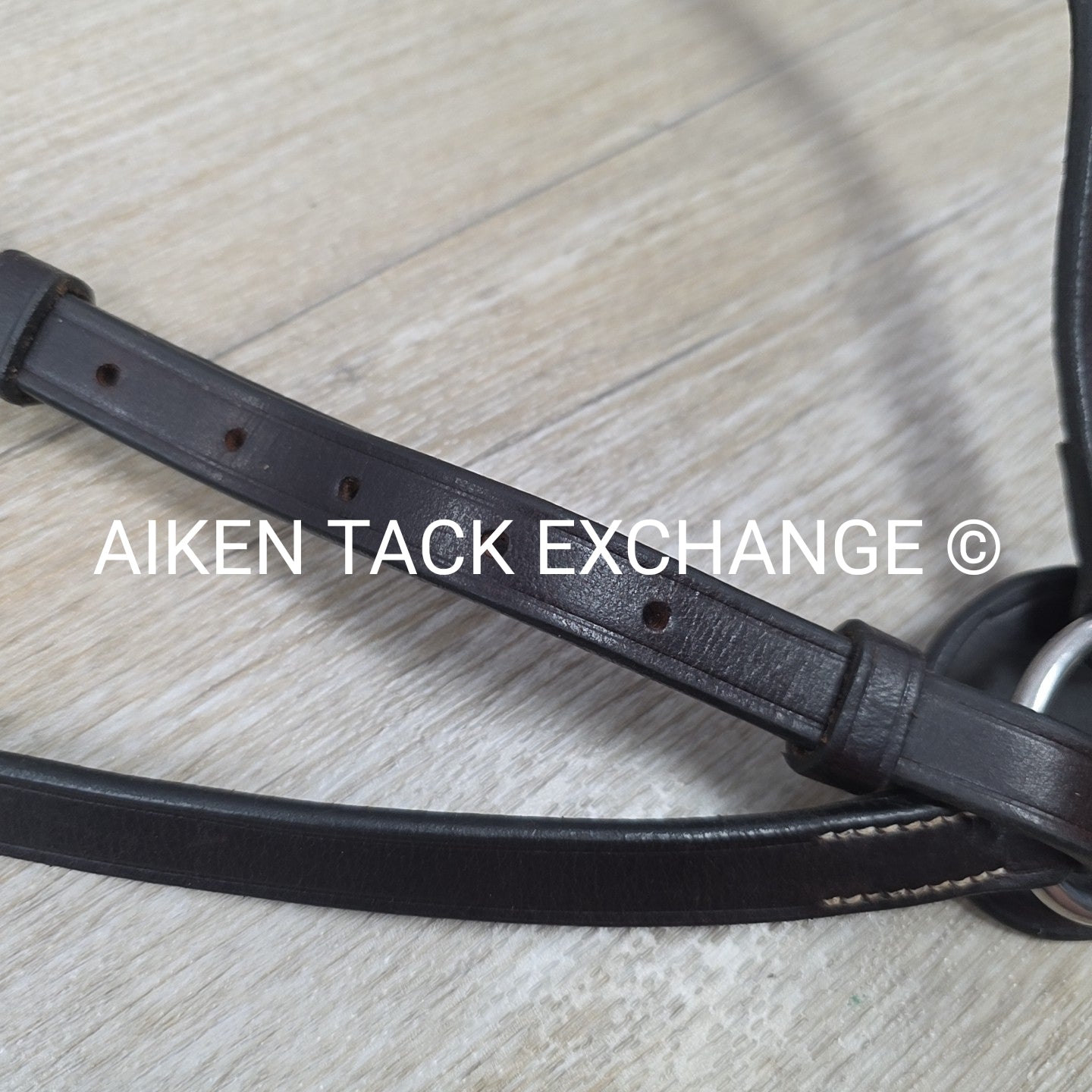 Flat Adjustable Breastplate with Standing Martingale Attachment, Brown, Cob