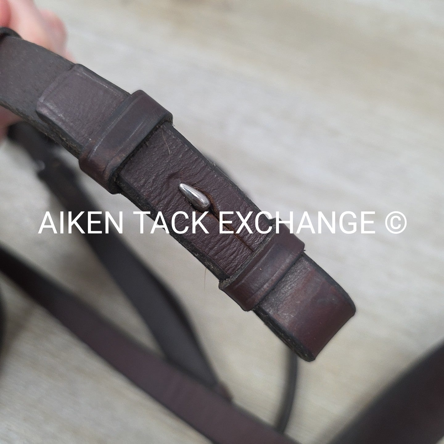 Horse Country First Flight Flat Hunt Bridle, No Reins, Brown, Size Cob