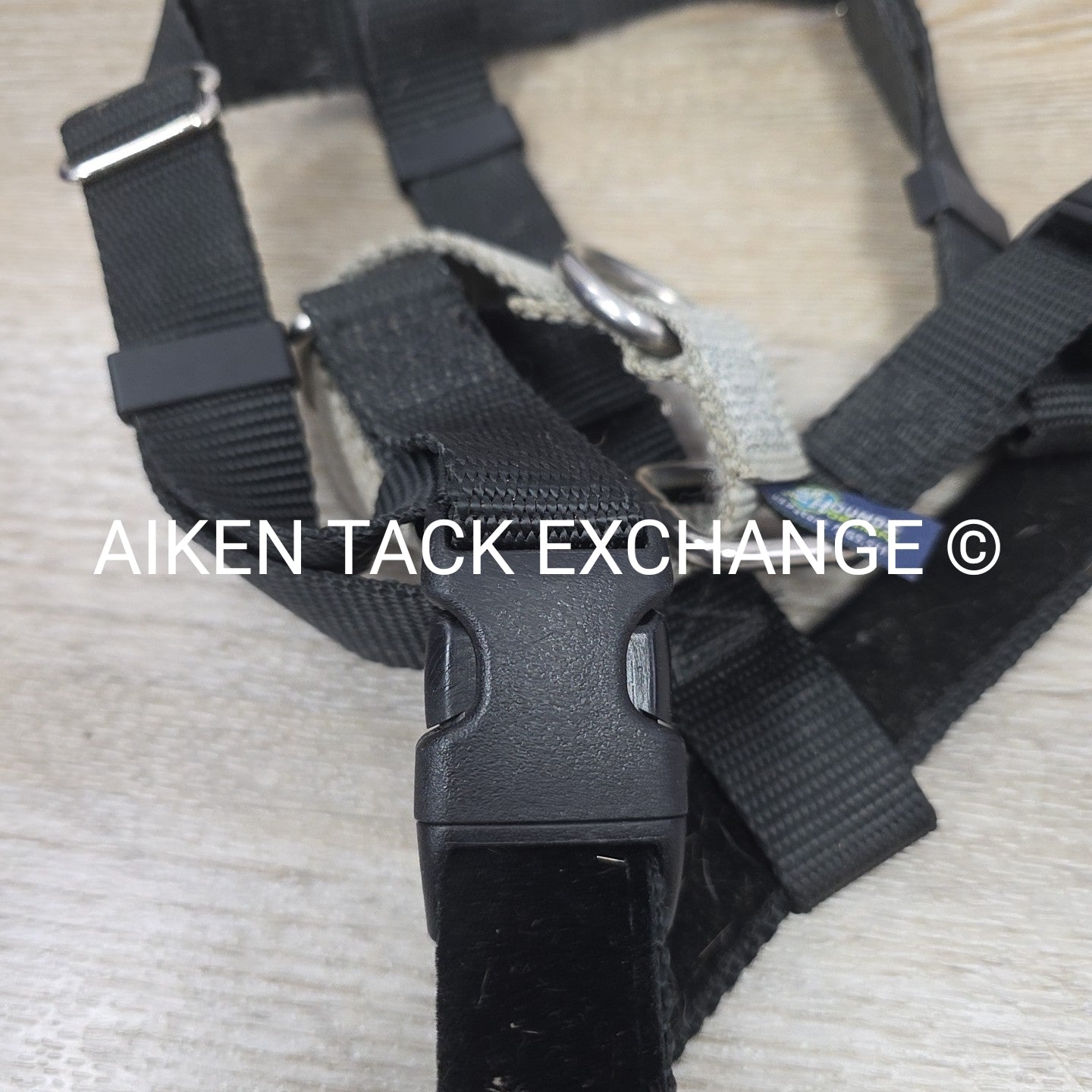 Freedom No-Pull Dog Harness, Large