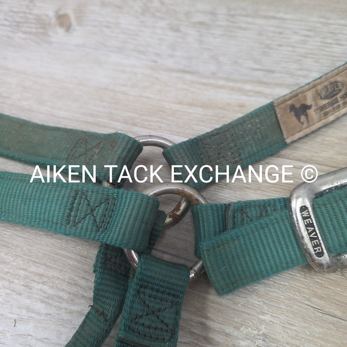 BARGAIN BUNDLE: 2 Nylon Halters & 2 Lead Ropes