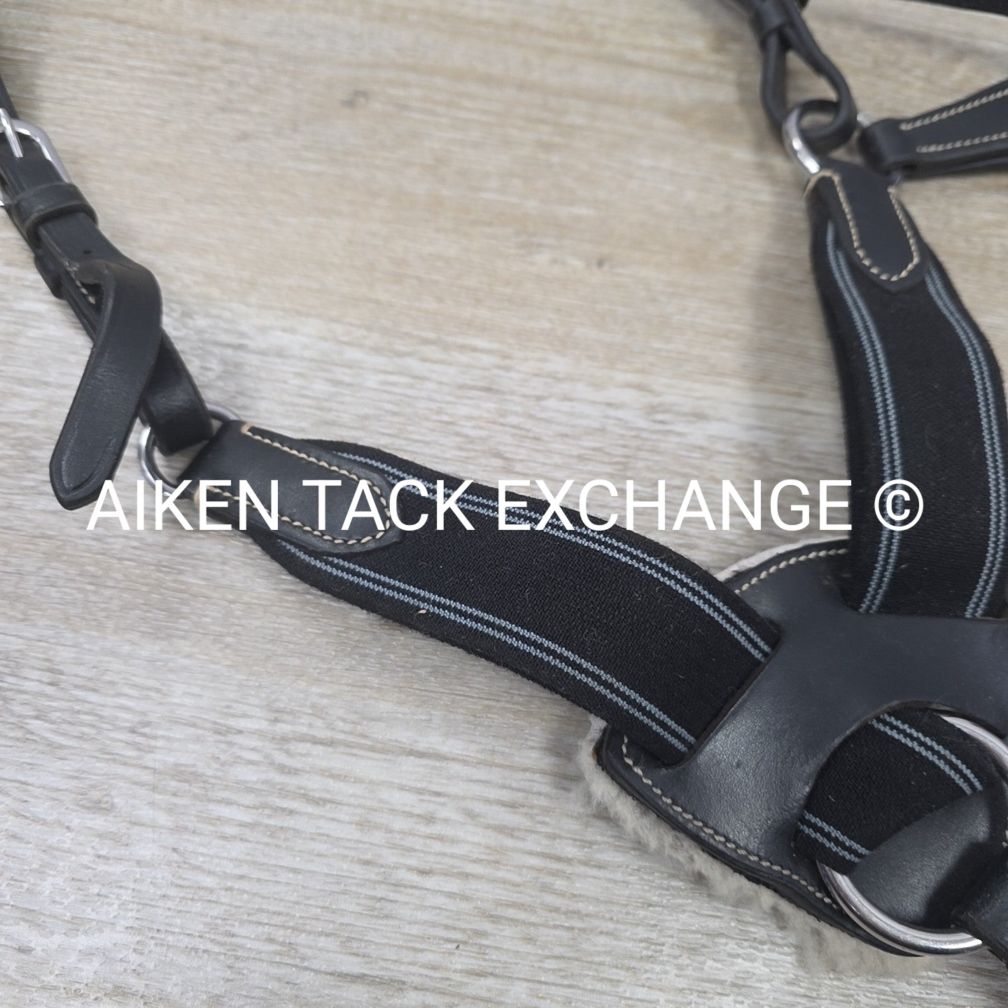 5 Point Elastic Breastplate with Running Martingale Attachment, Black, Size Pony