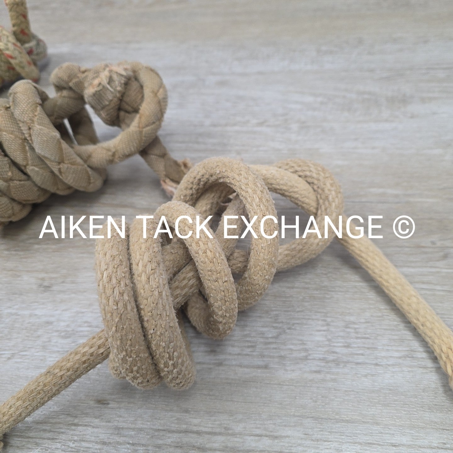 BARGAIN BUNDLE: 3 Lead Ropes