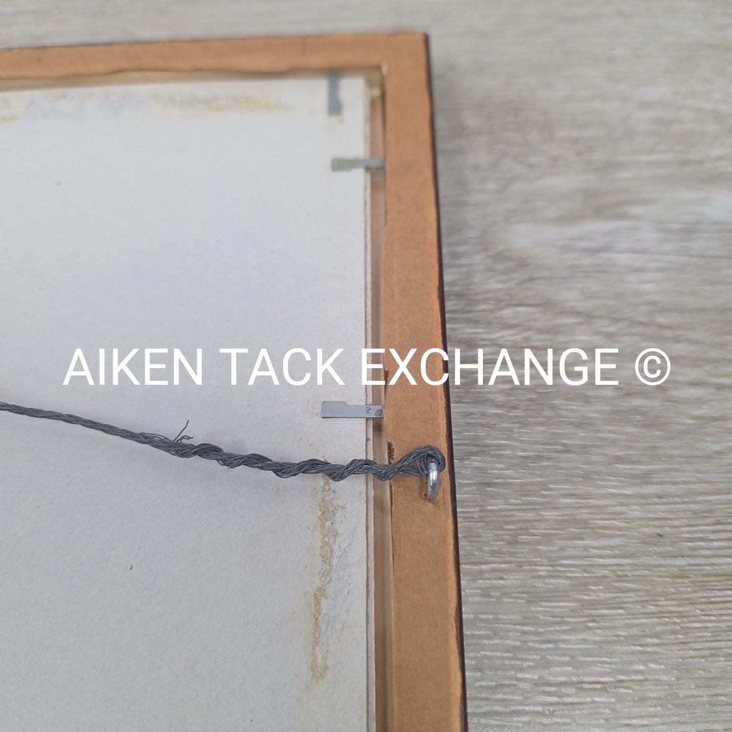 "The Hunting Day" by Bryn Parry