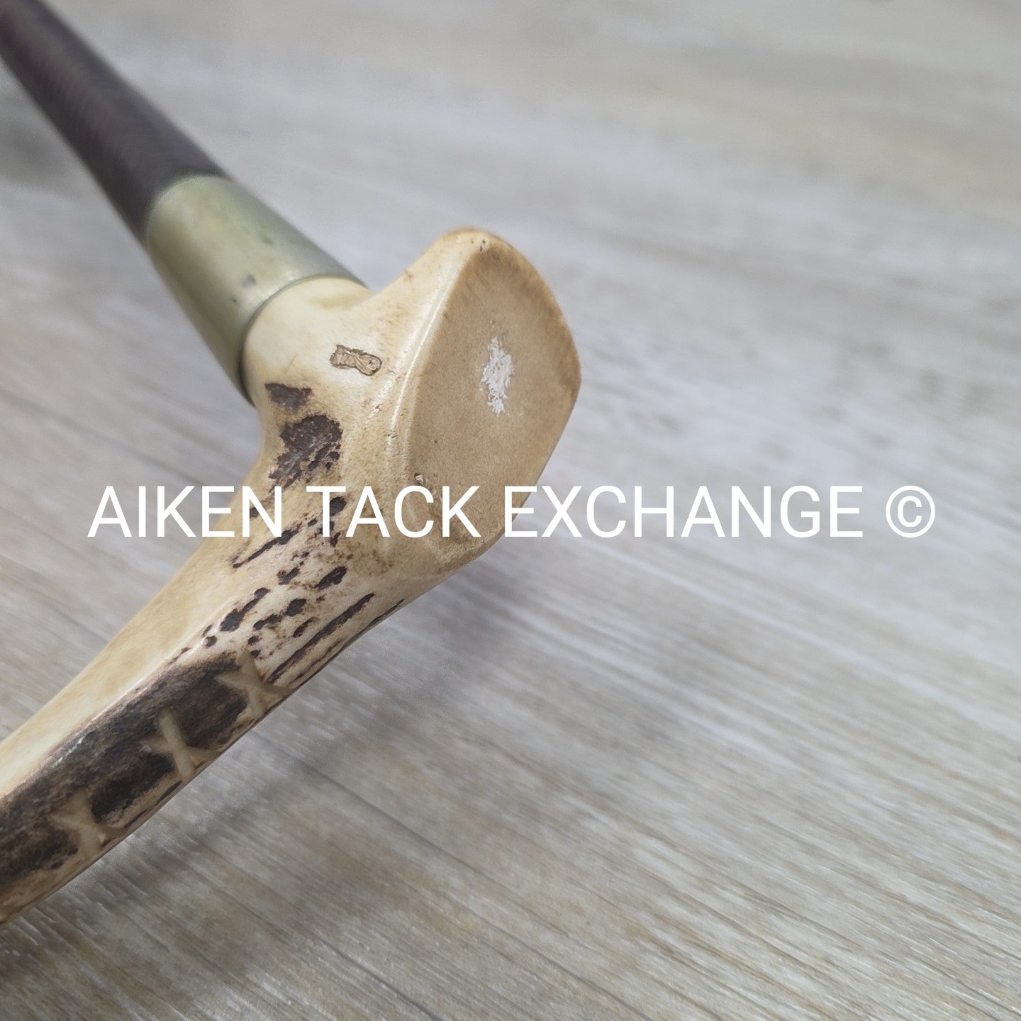 Men's Swaine Staghorn Hunt Whip with Thong / Lash