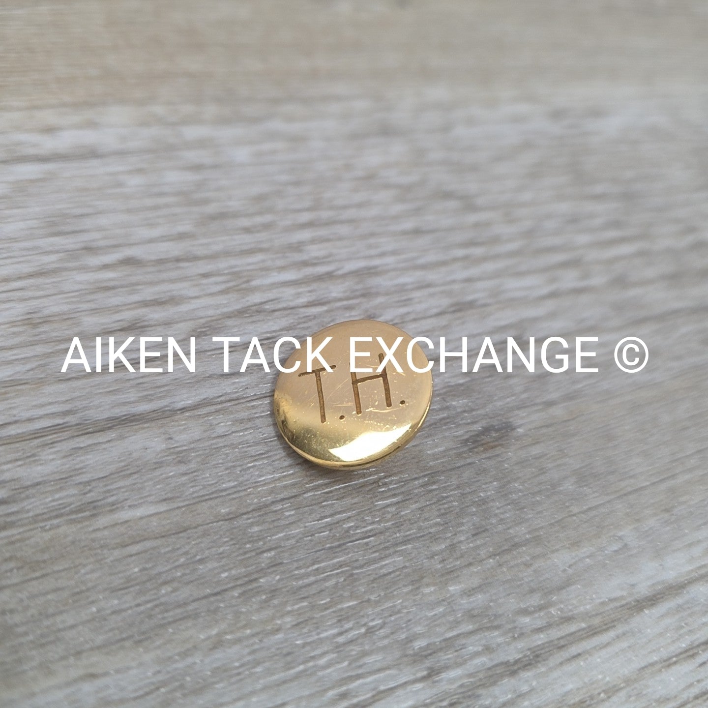 Tryon Hounds Brass Button, Large