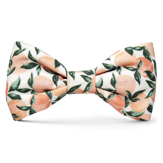 The Foggy Dog - Peaches and Cream Dog Bow Tie: Standard