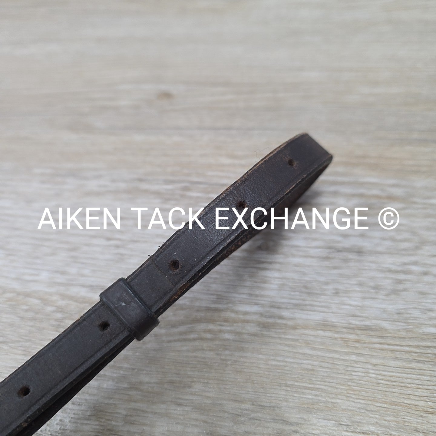 Plain Raised Standing Martingale, Brown, Size Cob