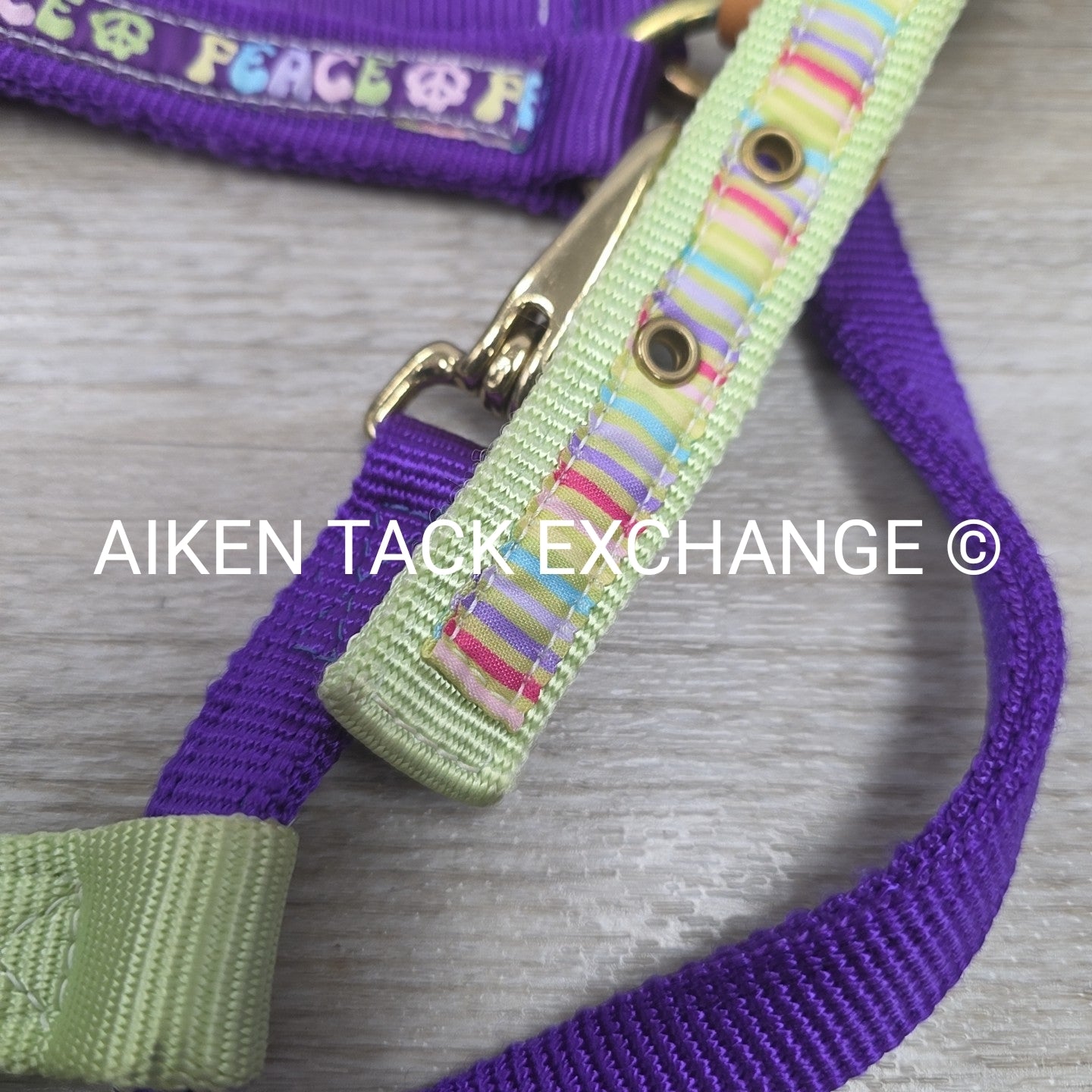Perri's Nylon Breakaway Halter w/ Cotton Lead Rope, Size Cob