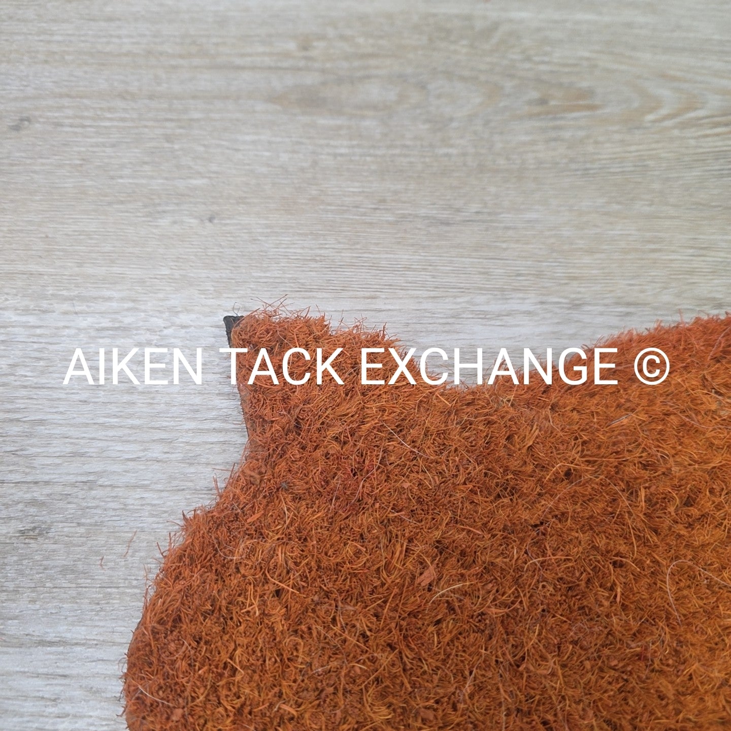 Fox Doormat