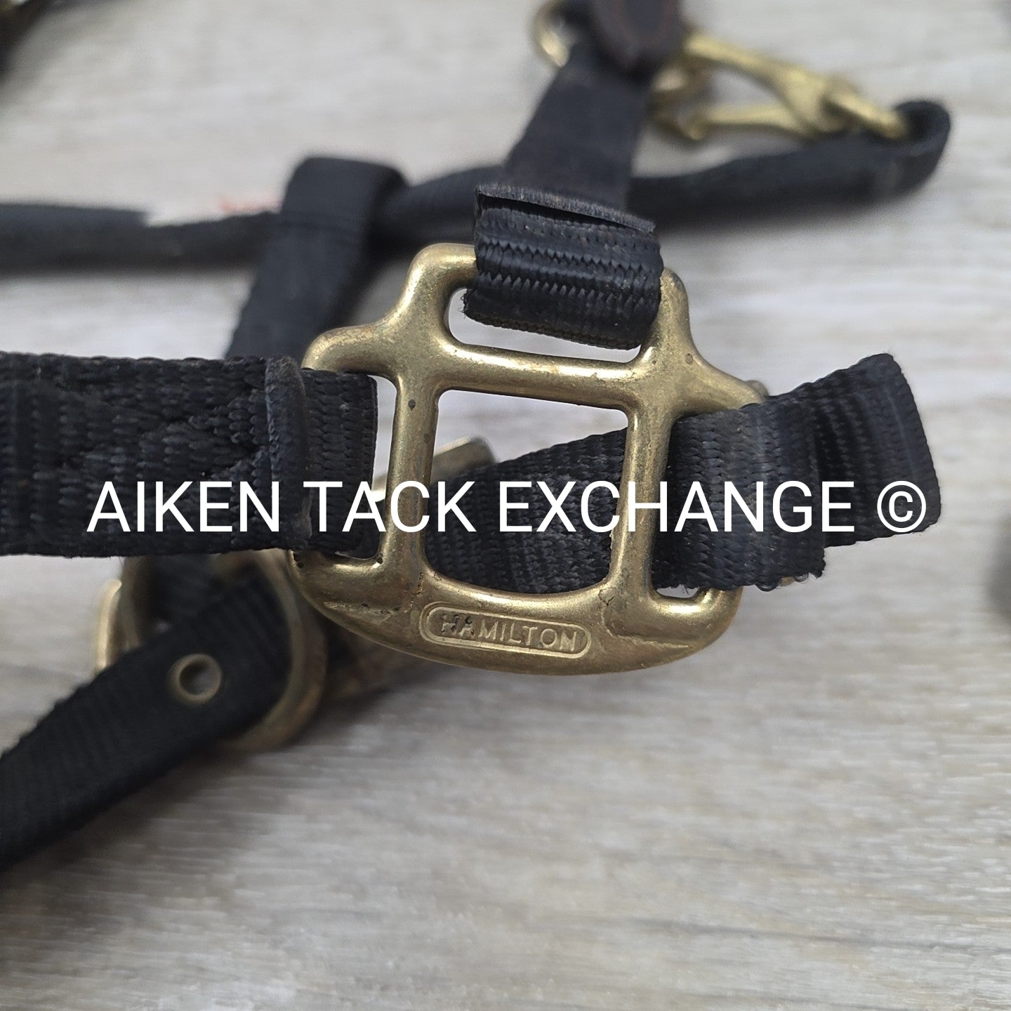 BARGAIN BUNDLE: 2 Nylon Breakaway Halters, Size Weanling / Pony