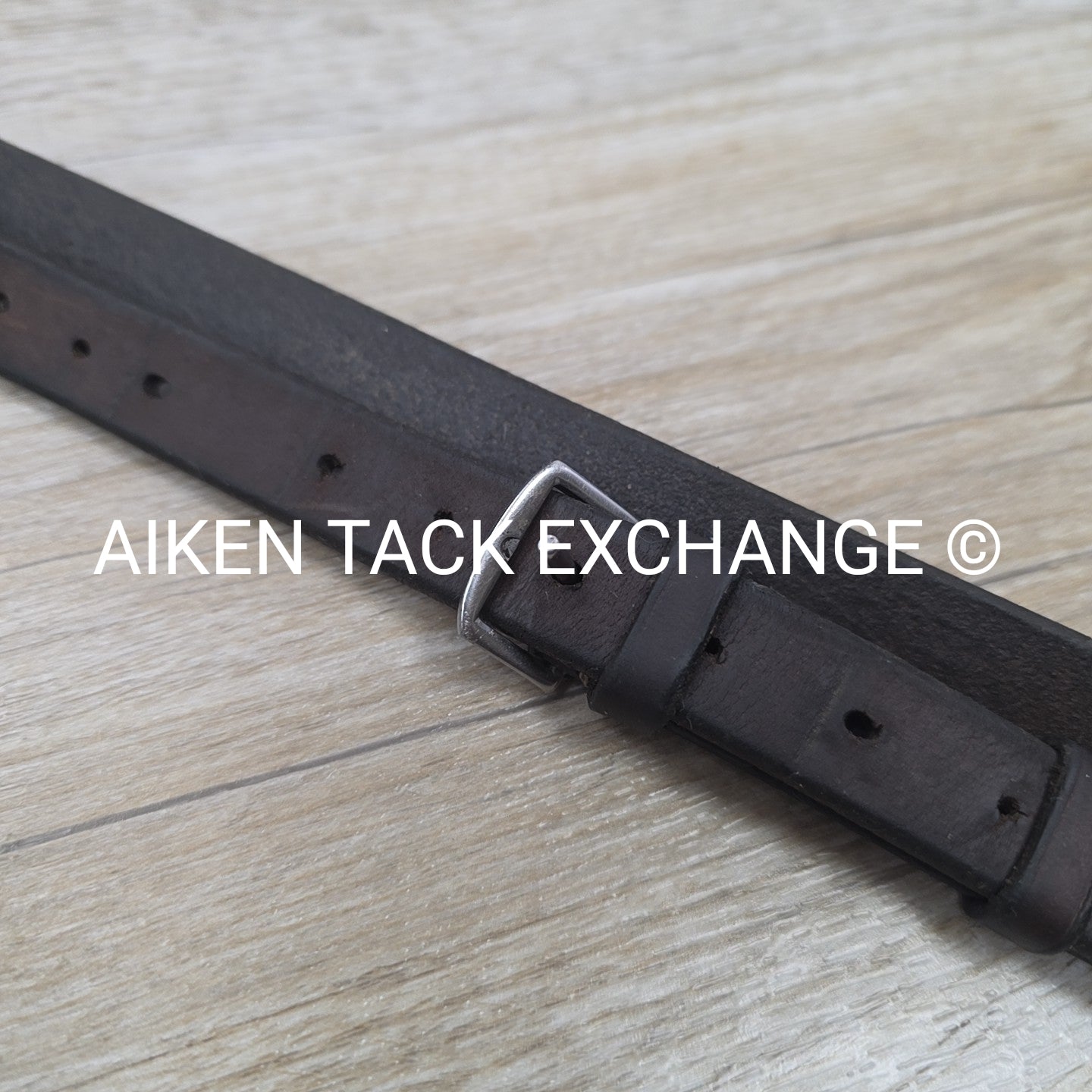 Horse Country First Flight Standing Martingale, Brown, Oversize