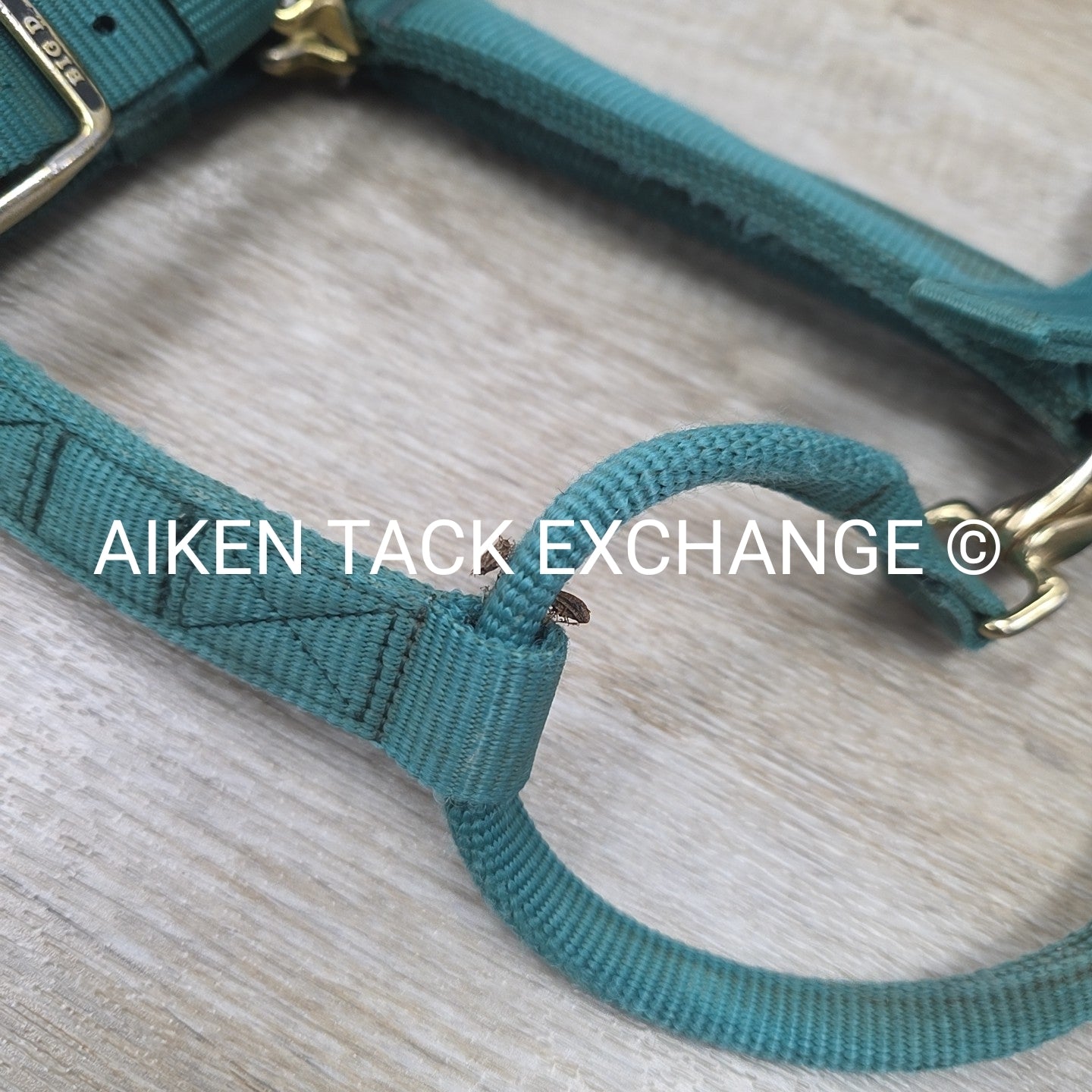 Big D Nylon Halter, Size Full