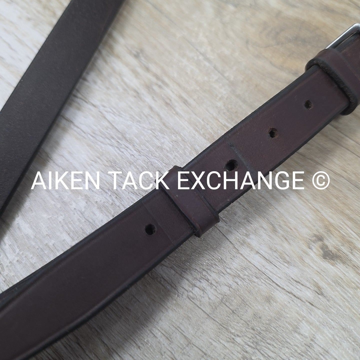 Horse Country First Flight Standing Martingale, Brown, Oversize