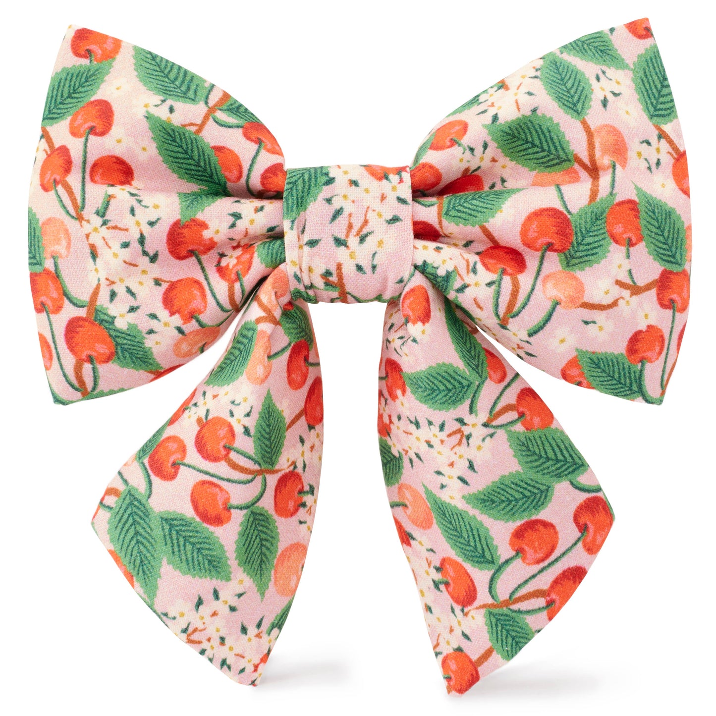 The Foggy Dog - Rifle Paper Co. x TFD Cherry Blossom Spring Lady Dog Bow: Large