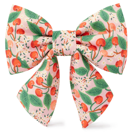 The Foggy Dog - Rifle Paper Co. x TFD Cherry Blossom Spring Lady Dog Bow: Large