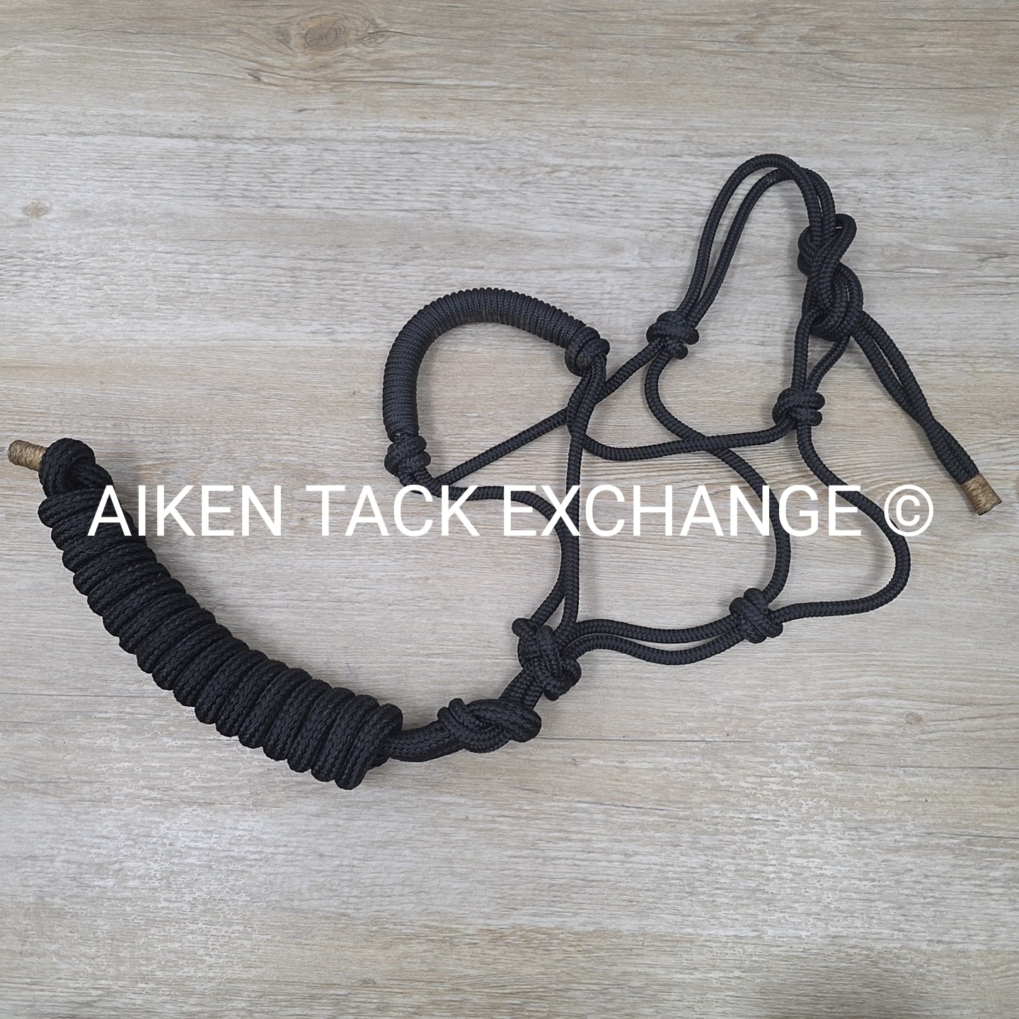 Rope Halter with Lead