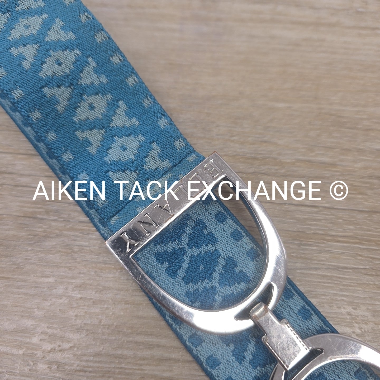 Ellany Silver Stirrup Elastic Belt