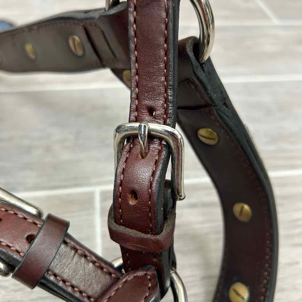 Kathy's Show Equipment #250 Santana Halter with Matching Leather Show Lead