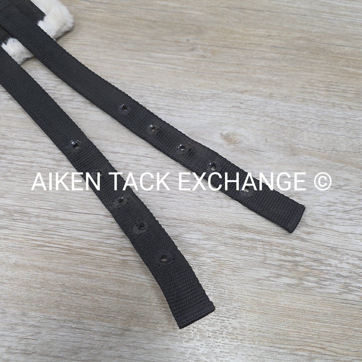 Nylon Surcingle, No Girth, Size Pony