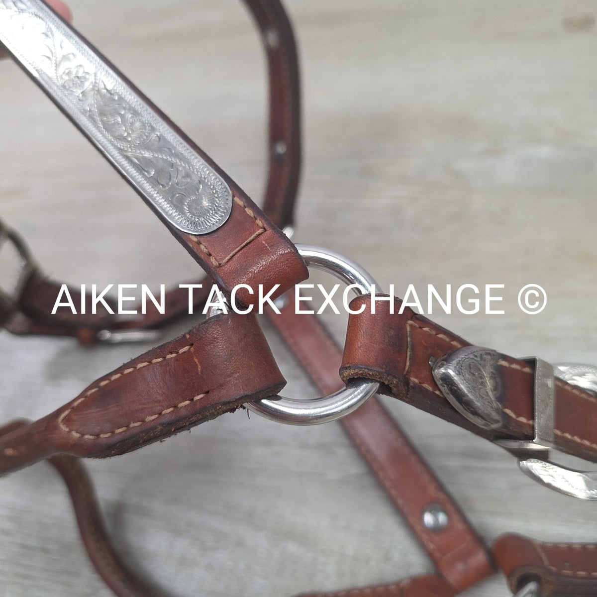 Western Show Halter, Size Foal
