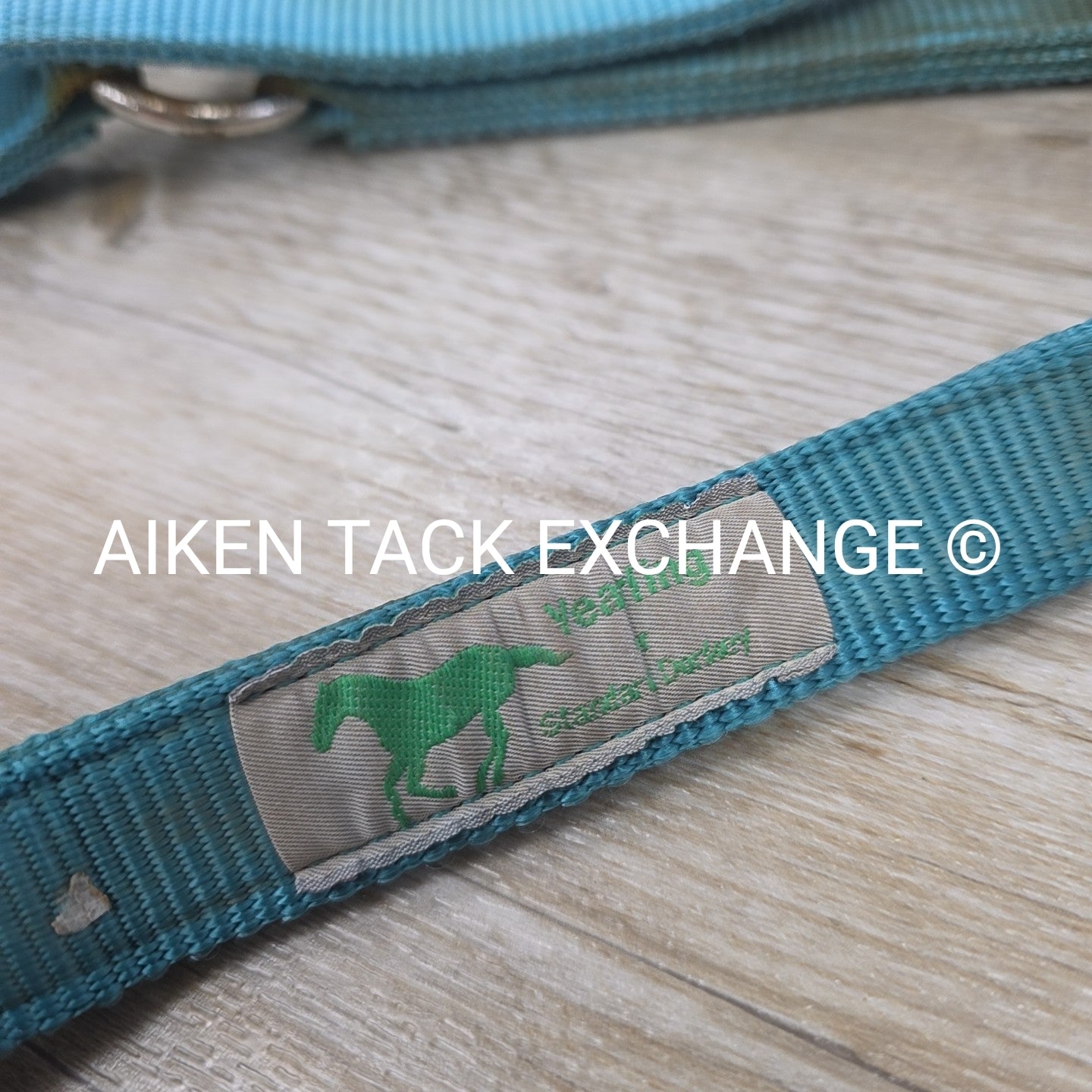 BARGAIN BUNDLE: 3 Nylon Halters, Various Sizes