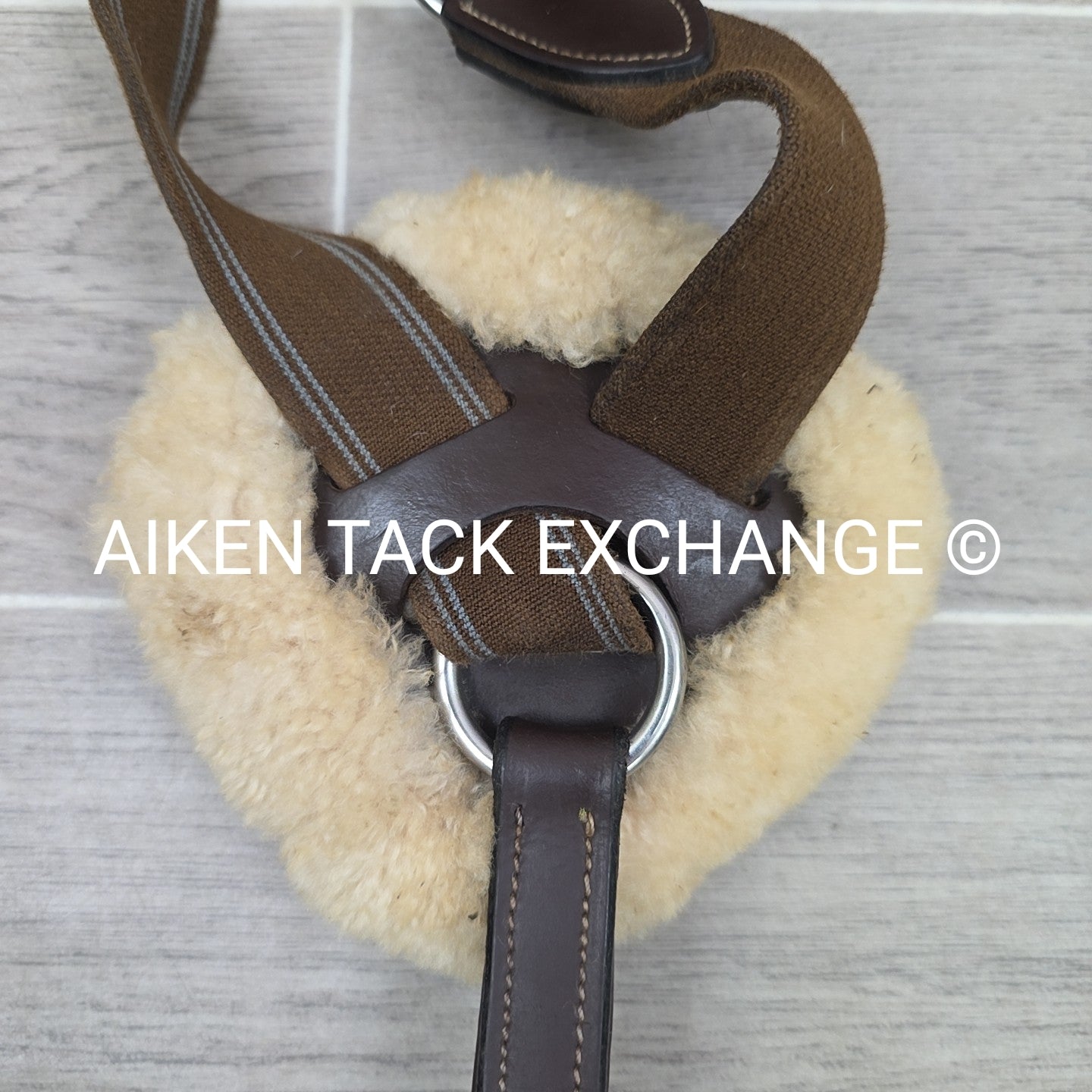 HDR Pro 5 Point Elastic Breastplate, Brown, Size Full