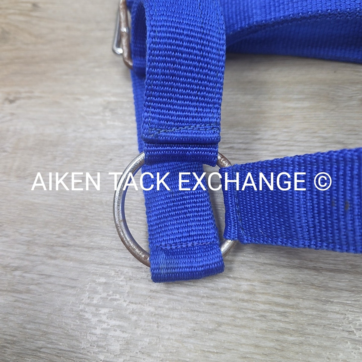 Nylon Halter, Draft