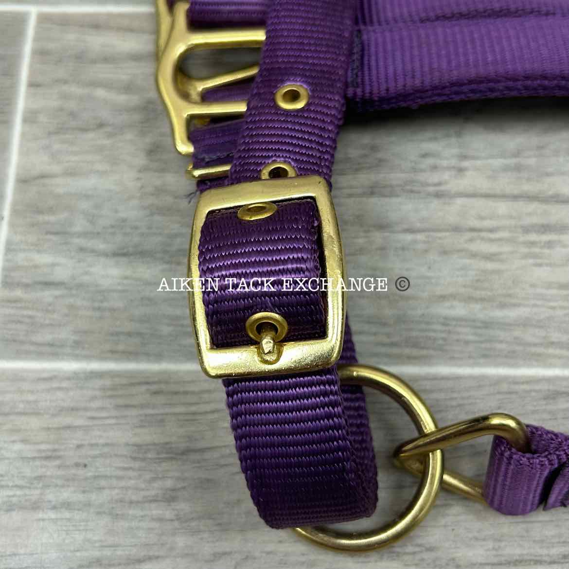 Dover Saddlery Heavy Nylon Halter, Oversize